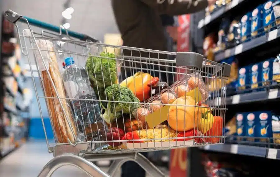 carrito de compra supermercado consumidores