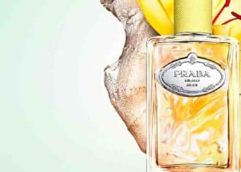Infusion de Gingembre: Elegancia en Amarillo
