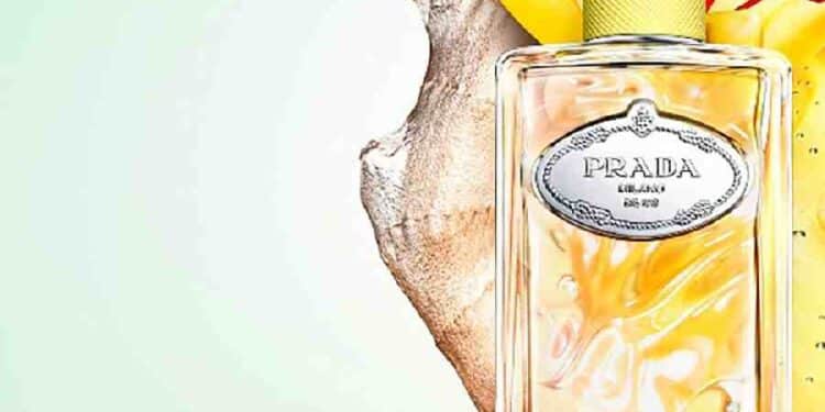 Infusion de Gingembre: Elegancia en Amarillo