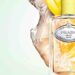 Infusion de Gingembre: Elegancia en Amarillo