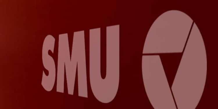 SMU mercado peruano