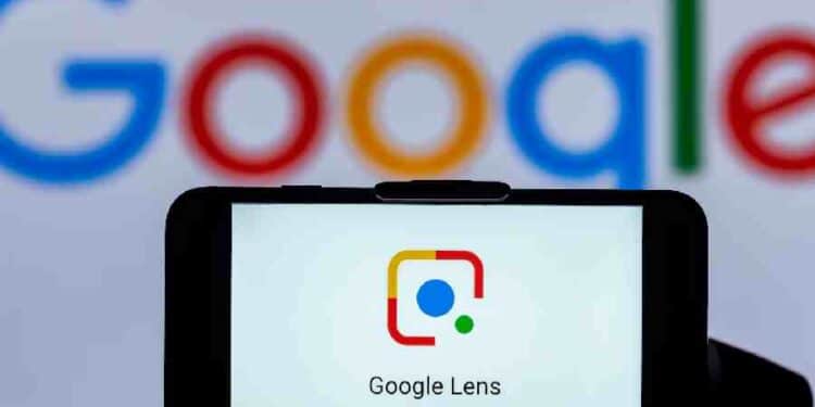 Google Lens: ¿Cuántos Arándanos? La IA Responde