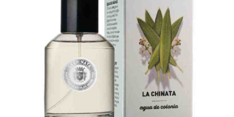 Perfumes Esenciales para un Verano Radiante