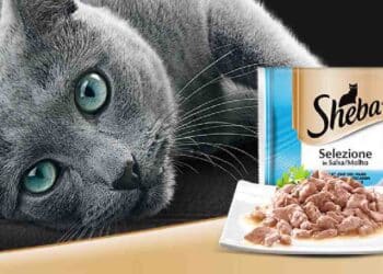 Sheba Presenta: ¡El Regalo Perfecto para Tu Gato!