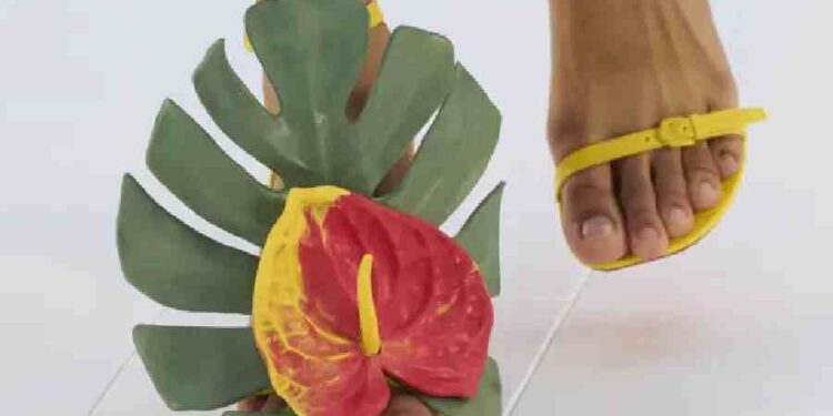 Verano Floral: Sandalias que Deslumbran