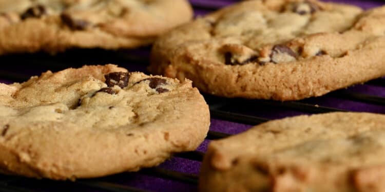 Producción de galletas en México