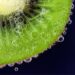 Zespri optimiza sus operaciones con Celonis y cosecha resultados récord