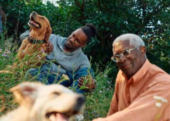 Boehringer Ingelheim Adquiere Saiba: Innovación en Salud Animal