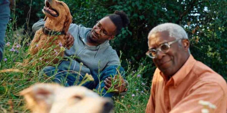 Boehringer Ingelheim Adquiere Saiba: Innovación en Salud Animal