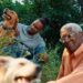 Boehringer Ingelheim Adquiere Saiba: Innovación en Salud Animal
