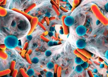 Microbioma y Nutrición: La Nueva Era del Bienestar Animal
