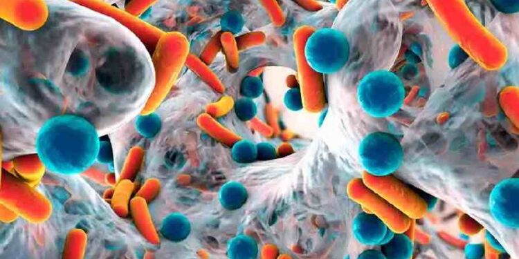Microbioma y Nutrición: La Nueva Era del Bienestar Animal