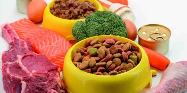Normativas Esenciales: Clave para el Éxito en Alimentos para Mascotas