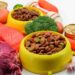 Normativas Esenciales: Clave para el Éxito en Alimentos para Mascotas