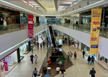 Día del Shopping
