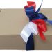 cajas dieciocheras