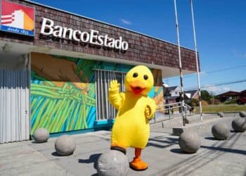 pato bancoestado