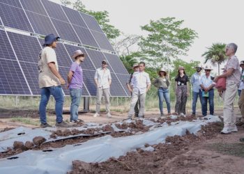 Innovación Agrovoltaica en Colombia