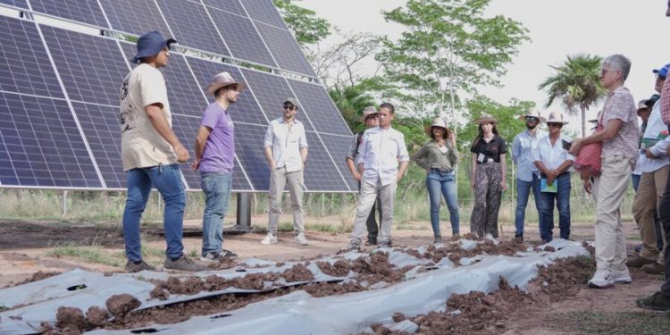 Innovación Agrovoltaica en Colombia