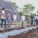 Innovación Agrovoltaica en Colombia
