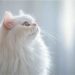 Adiós, olores desagradables: Descubre la arena para gatos definitiva