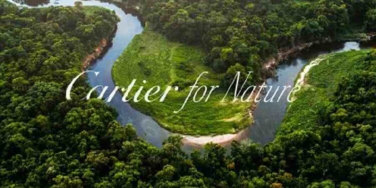 Cartier for Nature: Lujo en la Restauración del Planeta