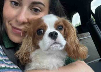 Claudia Oshry Se Une a WagWell como Embajadora de Marca
