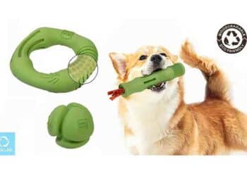 Collar Company Impulsa la Sostenibilidad con Waudog Fun