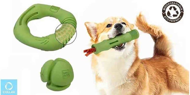 Collar Company Impulsa la Sostenibilidad con Waudog Fun