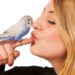 El Secreto de las Plumas Felices