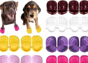 Estilo Canino: Los Nuevos Pet Crocs