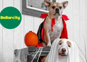 Halloween Pet Friendly con Dollarcity