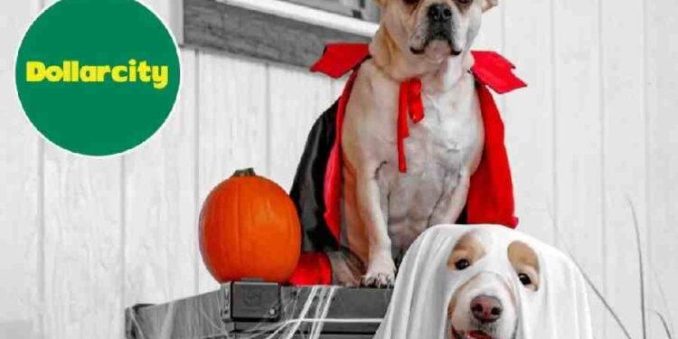 Halloween Pet Friendly con Dollarcity