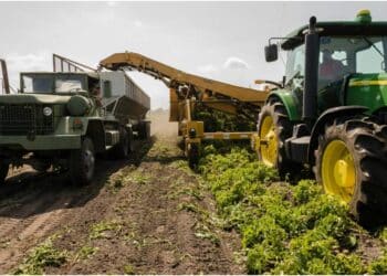 Innovación y sostenibilidad, la nueva era de la gestión agrícola