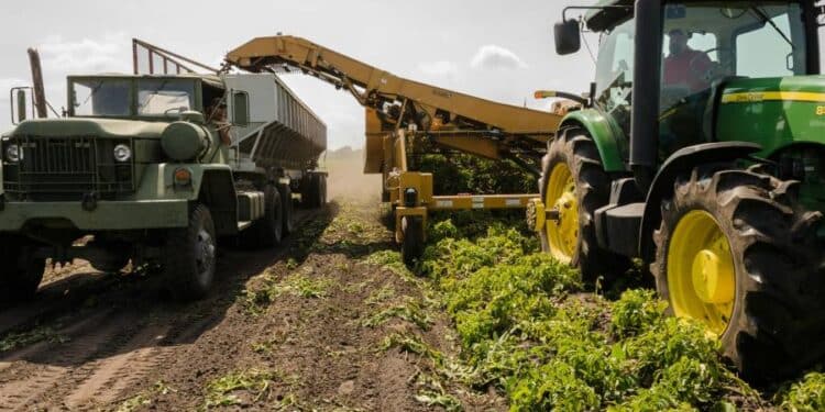 Innovación y sostenibilidad, la nueva era de la gestión agrícola