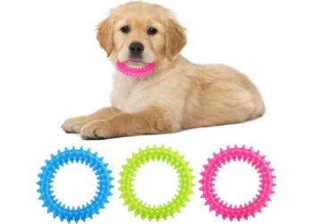 Juguetes Naturales para Perros: Una Nueva Era de Masticables Saludables