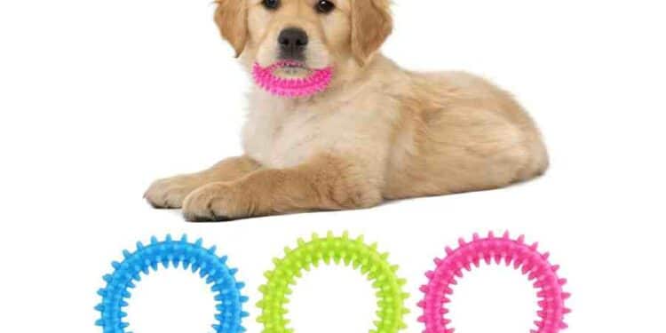 Juguetes Naturales para Perros: Una Nueva Era de Masticables Saludables