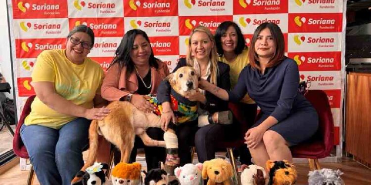 Juntos por un Futuro Mejor para Mascotas