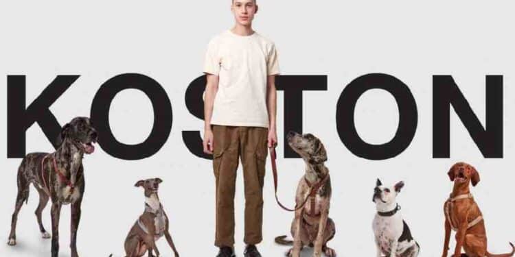 KOSTON presenta su nueva colección para mascotas