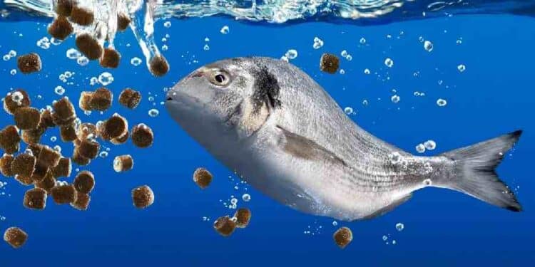La Conexión Emocional de los Dueños de Peces y Reptiles en 2024