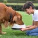 La Responsabilidad de Tener una Mascota pet lovers