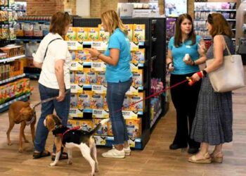 La Revolución de los "Pet Parents"