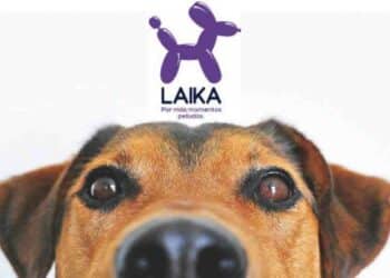 Laika: 2,000 Nuevos Empleos y Expansión en el Mercado de Mascotas