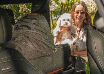 Licensing en el Mundo de las Mascotas: Innovación y Conexión