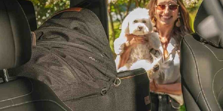 Licensing en el Mundo de las Mascotas: Innovación y Conexión