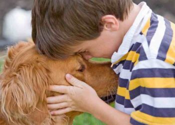 Mascotas: Clave del Bienestar