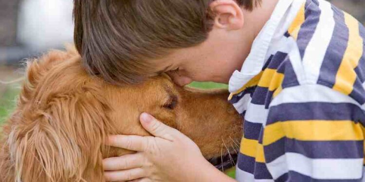 Mascotas: Clave del Bienestar