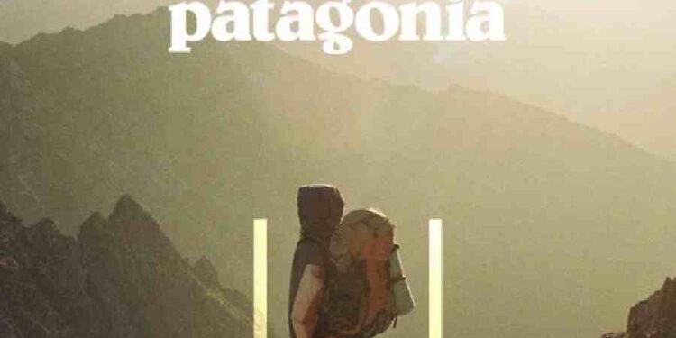 Patagonia Reestructura: 41 Despidos por Innovación y Sostenibilidad