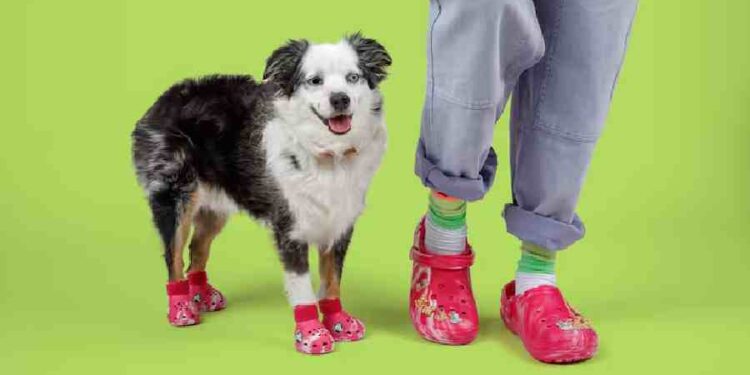 Pet Crocs: La Moda para Perros