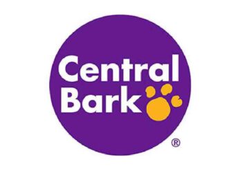 Puppy Hour: Socialización Segura para Cachorros